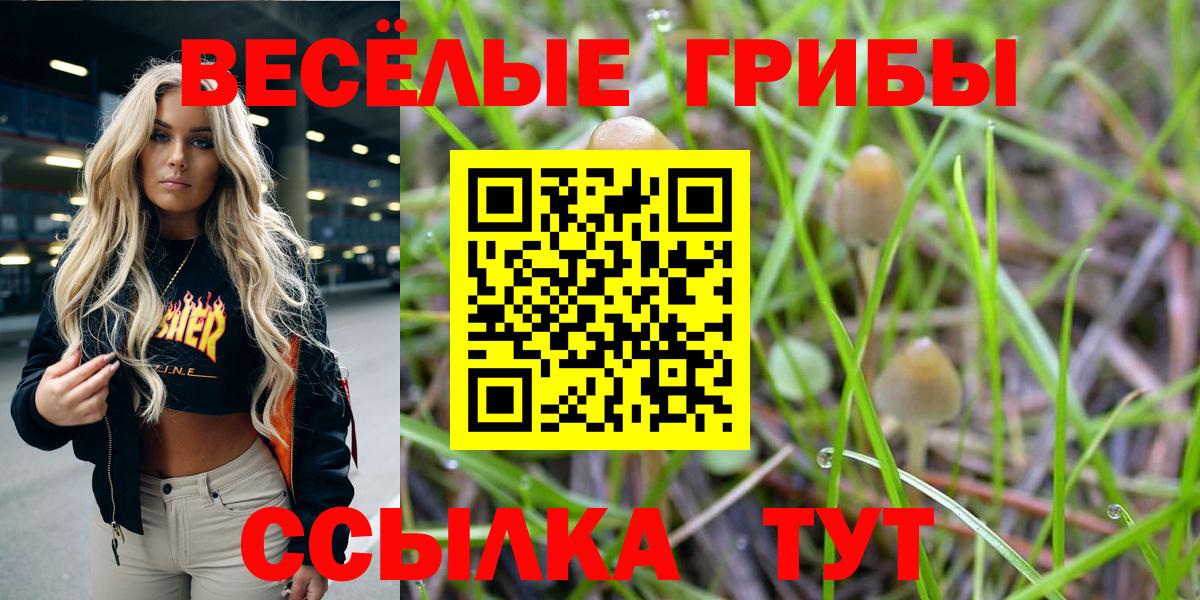 Галлюциногенные грибы Magic Shrooms  Псилоцибиновые грибы прущие грибы  Вход с VPN  закладки  Наро-Фоминск 