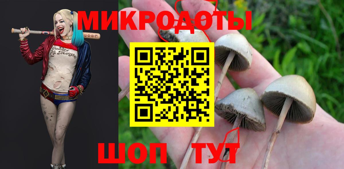 Псилоцибиновые грибы GOLDEN TEACHER Наро-Фоминск